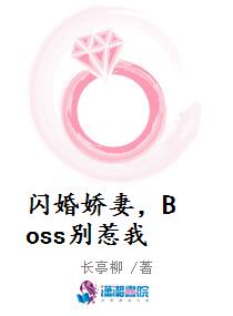 齿ޣBoss